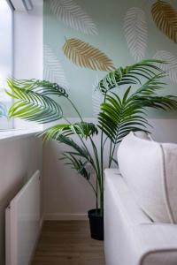 a green plant in a black pot next to a couch at Station Gold Leaf - Gym - Games Room - MK in Milton Keynes
