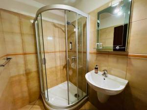 a bathroom with a shower and a sink at DAEGA with daehan in Žilina