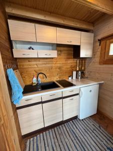 a kitchen in a tiny house with a sink at Jazinks Sunset 4 in Apšenieki