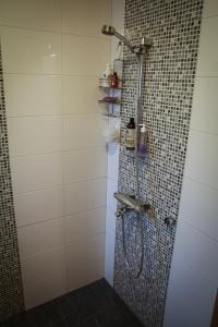 a shower with a shower head in a bathroom at Koliwood A in Kolinkylä