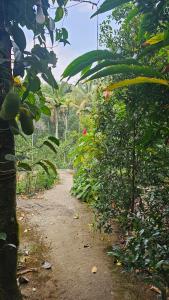 Gallery image of Mithra Munnar Valley View A-Frame Huts in Anachal
