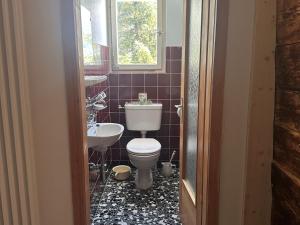 a bathroom with a toilet and a sink at Ferienwohnung Visoura in Parsonz +14 photos