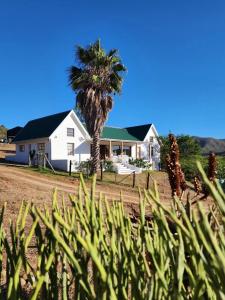 a house with a palm tree in front of it at Pekárna in Vosburg
