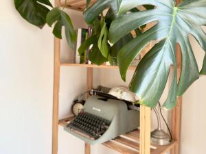 a typewriter and a plant on a wooden shelf at La Encarnación in Ávila