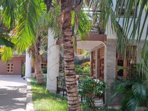 a palm tree in front of a building at The Ocean Pearl in Diani Beach