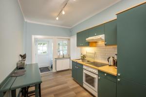 a kitchen with green cabinets and a green counter top at Pförtnerhaus in Gartow