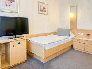 Televizors / izklaižu centrs naktsmītnē Hotel Dreyer Garni