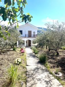 a path leading to a white house with trees at Villetta con Oliveto CFG in Prizzi