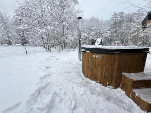 a dog sitting on top of a snow covered roof at Cabana Alisa Sapanta in Săpânța