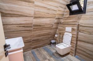 a bathroom with a toilet and a sink at Golden Cabins Gjinar by PikHost in Elbasan +145 photos