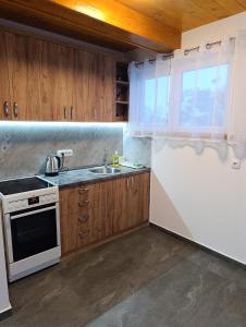a kitchen with wooden cabinets and a sink and a window at Little Village Loft in Káty