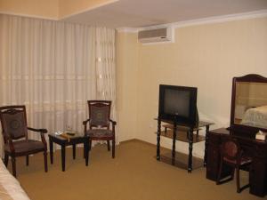 TV a/nebo společenská místnost v ubytování Hotel Botakoz