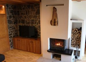 a living room with a fireplace and a tv at Apartment Appohorje in Pohorje