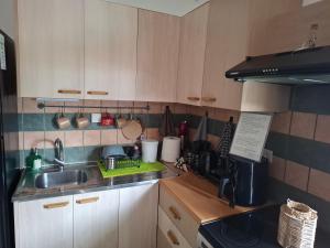 eine Küche mit Spüle und Arbeitsplatte in der Unterkunft Le Rocher 2 in Ermoupoli + 17 Fotos