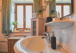 a bathroom with a sink and a mirror at Charmante Chiemgauwohnung in Wasserburg am Inn +22 photos