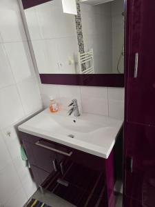 a bathroom with a white sink and a mirror at Petite maison T2 in Valence