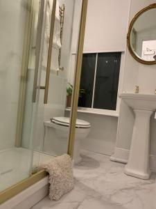 a bathroom with a toilet and a mirror at Chy Sabona - Front Room in Penzance