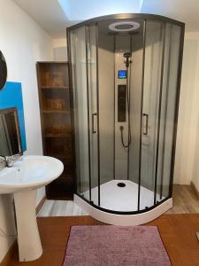 a bathroom with a shower and a sink at « Le temps d’un instant » dépendance in Solre-le-Château +35 photos