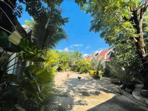 a dog standing in the middle of a yard with trees at Green Island Bungalows in Kampot