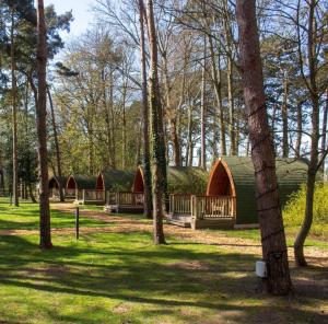 a group of huts in a forest with trees at Pinewood - At Port Lympne Hotel & Reserve in Hythe