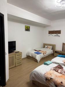 a bedroom with two beds and a flat screen tv at Pensiunea Casa Petrovai in Sighetu Marmaţiei