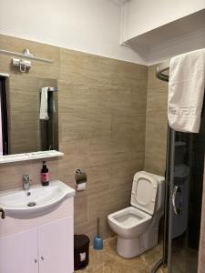 a bathroom with a toilet and a sink at Pensiunea Casa Petrovai in Sighetu Marmaţiei