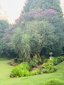 a garden with plants and trees and pink flowers at Briar & Bloom2 in Hilton