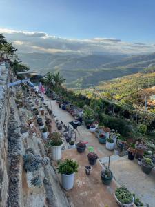 a bunch of potted plants are lined up on a hill at Sen Đá Home 2 in Da Lat