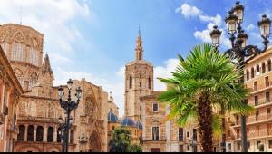 a palm tree in front of a building with a church at Habitación confortable en el centro in Valencia