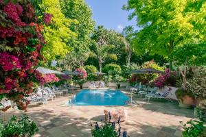 a pool with chairs and umbrellas in a garden at Last Word Constantia in Cape Town