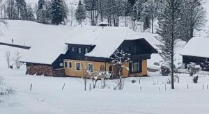 a house with snow on top of it at Der Sagbauer in Donnersbachwald