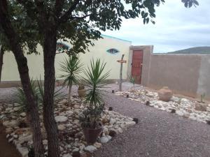 a garden with plants in front of a building at Camping Lamadrague in Opuwo