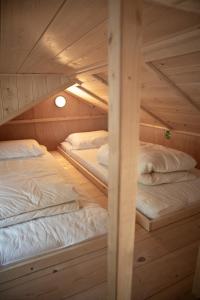 two bunk beds in a wooden cabin at Kapschuur in Zuidwolde