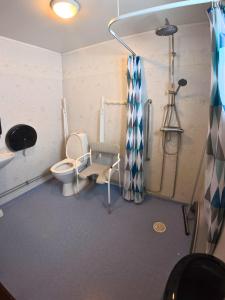 a bathroom with a toilet and a shower at Årsunda Strandbad Sjösunda vandrarhem in Årsunda +21 photos