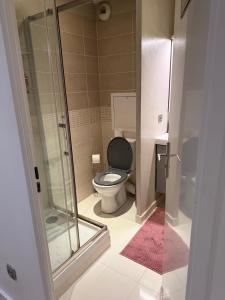 a bathroom with a toilet and a glass shower at Appartement duplex T3 avec box - Paris - La Défense - Airport CDG - Parc des expositions - Stade de France - Disney - Astérix - Val D Europe in Villepinte
