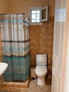 a bathroom with a toilet and a shower curtain at Geomelos Theodoros Apartments in Chios +18 photos