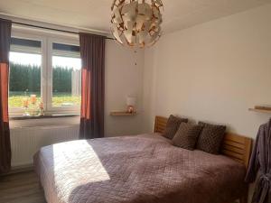 a bedroom with a bed and a chandelier at Hochsitz Appartement in Seelitz