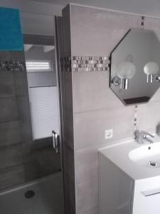 a bathroom with a shower and a sink and a mirror at Tinas Fewo 2 in Hohendodeleben