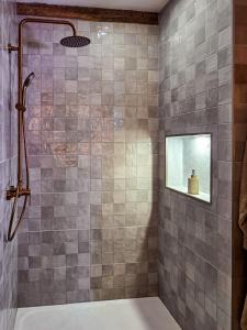 a bathroom with a shower with a bath tub at Chambre Terracotta privée et accès jacuzzi - sauna in Lézat-sur-Lèze +13 photos