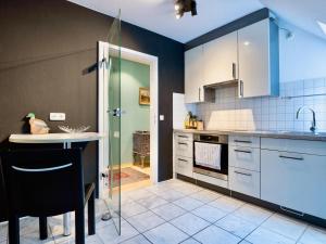 a kitchen with white cabinets and a glass shower backdoor at Altstadt Apartment für 6 Personen mit Stellplatz in Memmingen