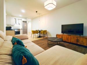 a living room with a couch and a flat screen tv at Apt 1 hab Catedral I, Centro Histórico in Valladolid