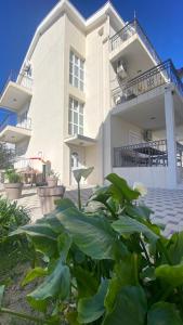 a building with a lot of plants in front of it at Vila Seawolf Apartments in Sutomore
