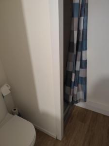 a bathroom with a toilet and a shower curtain at studio confort a prix doux in Selles-sur-Cher