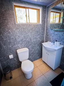 a bathroom with a toilet and a sink at Cabaña Santa Amelia Antuco Pet Friendly in Peluca +8 photos