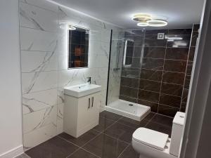 a bathroom with a toilet and a sink and a shower at Sandstone Grange in Albrighton +10 photos