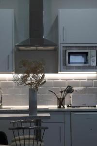 a kitchen with a vase with a plant on a counter at Apartamentos Las trece llaves in Mérida