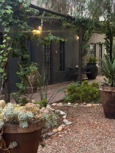 a garden with plants in front of a building at Soeterus Guest Farm in Calitzdorp