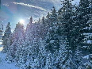 a group of snow covered trees on a ski lift at Rogla Gaber Studio in Zreče +4 photos