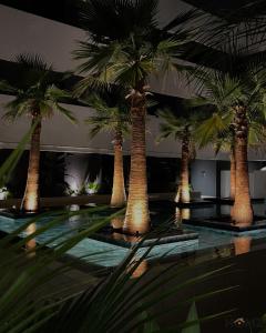 a group of palm trees in a building at Homz Maison in Sukrah