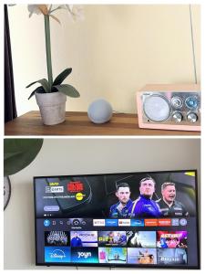 a picture of a tv screen and a potted plant at Modernes Harz Studio Apartment Ferienwohnung über den Baumspitzen in Braunlage